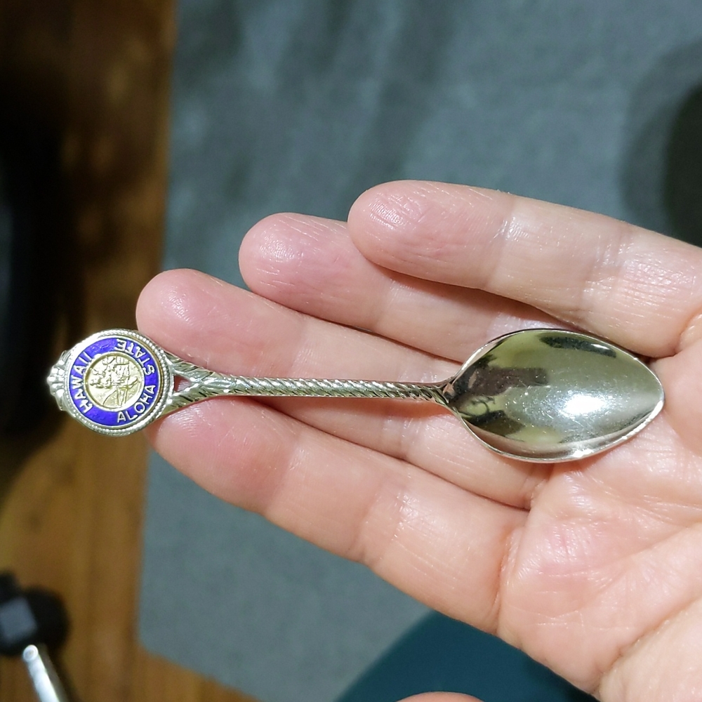 Hawaii collective spoon